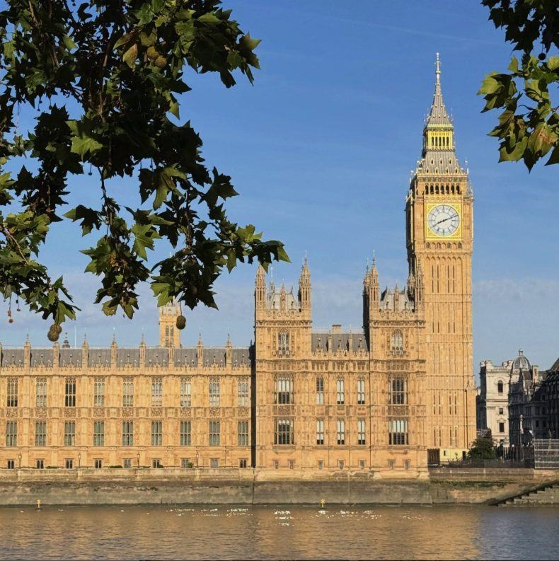 Facts About the Houses of Parliament