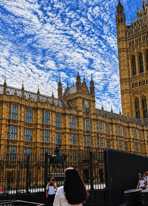 Visitors gathered outside the west front of the Palace of Westminster under a mackerel sky, with security barriers along the pavement